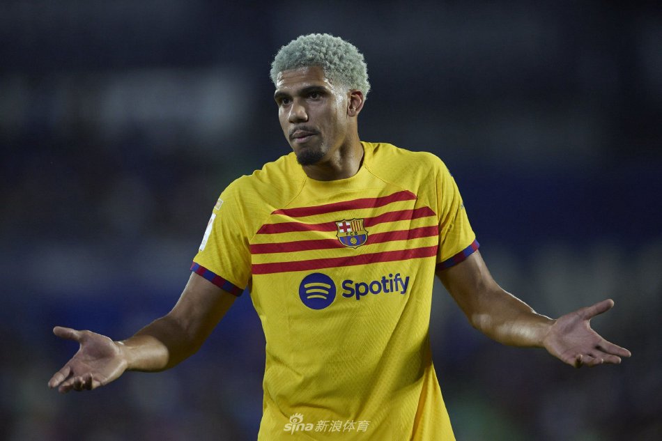 的主教练 的主教练